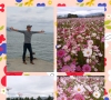 Full bloom