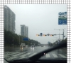 It rains cats and do